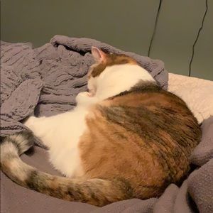 Meet your Posher, Lori